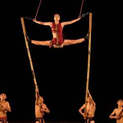 Bamboo Circus show (image from official website)