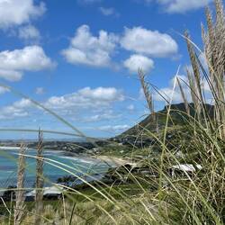 On my hike to the swimming beach