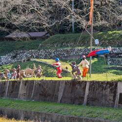 Dolls looking out at the road