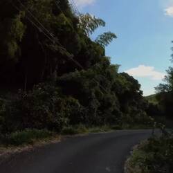 No idea where I was going, just followed the signs