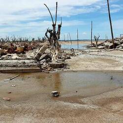This is how Hiroshima could be imagined after the atomic bombing...