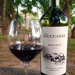 ... paired with an excellent Malbec.