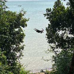 Im Wald unseres Hotels gibt es Affen. Die Wechseln dann so die Bäume, und das Kind ist dabei