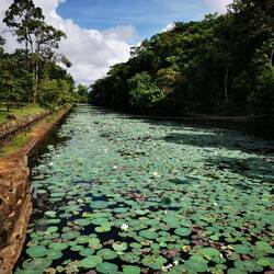 Am Fuße des Lion Rock