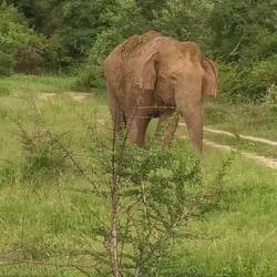 Ordentlich schütteln, damit der Dreck abfällt