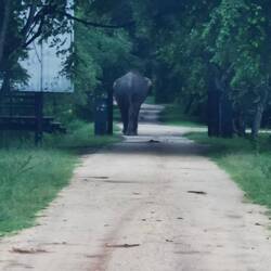 Da gehen wir doch einfach zum Tor raus 😂
