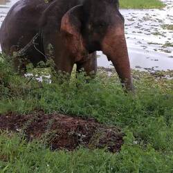 Schmeckt komisch 🤔