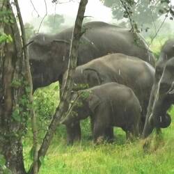 3 Grössen nebeneinander