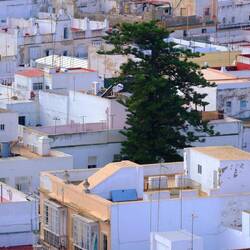 Der letzte seiner Art hier