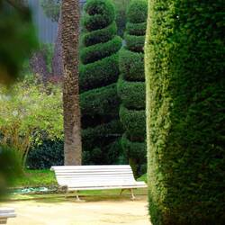 Kunstvoll im Parque Genoves