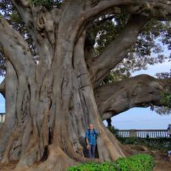 Hallo Leute. Ich bin auch auf dem Bild