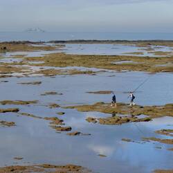 Und jetzt kommen wieder welche