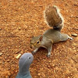 Erneut auch Tuchfühlung