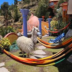 Hostal Las Olas in Copacabana