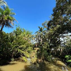 So toll angelegt alles 🌴