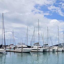 Harbor full of charter boats