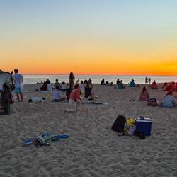 Am Strand ist Platz für alle...auch Hunde, Pferde usw