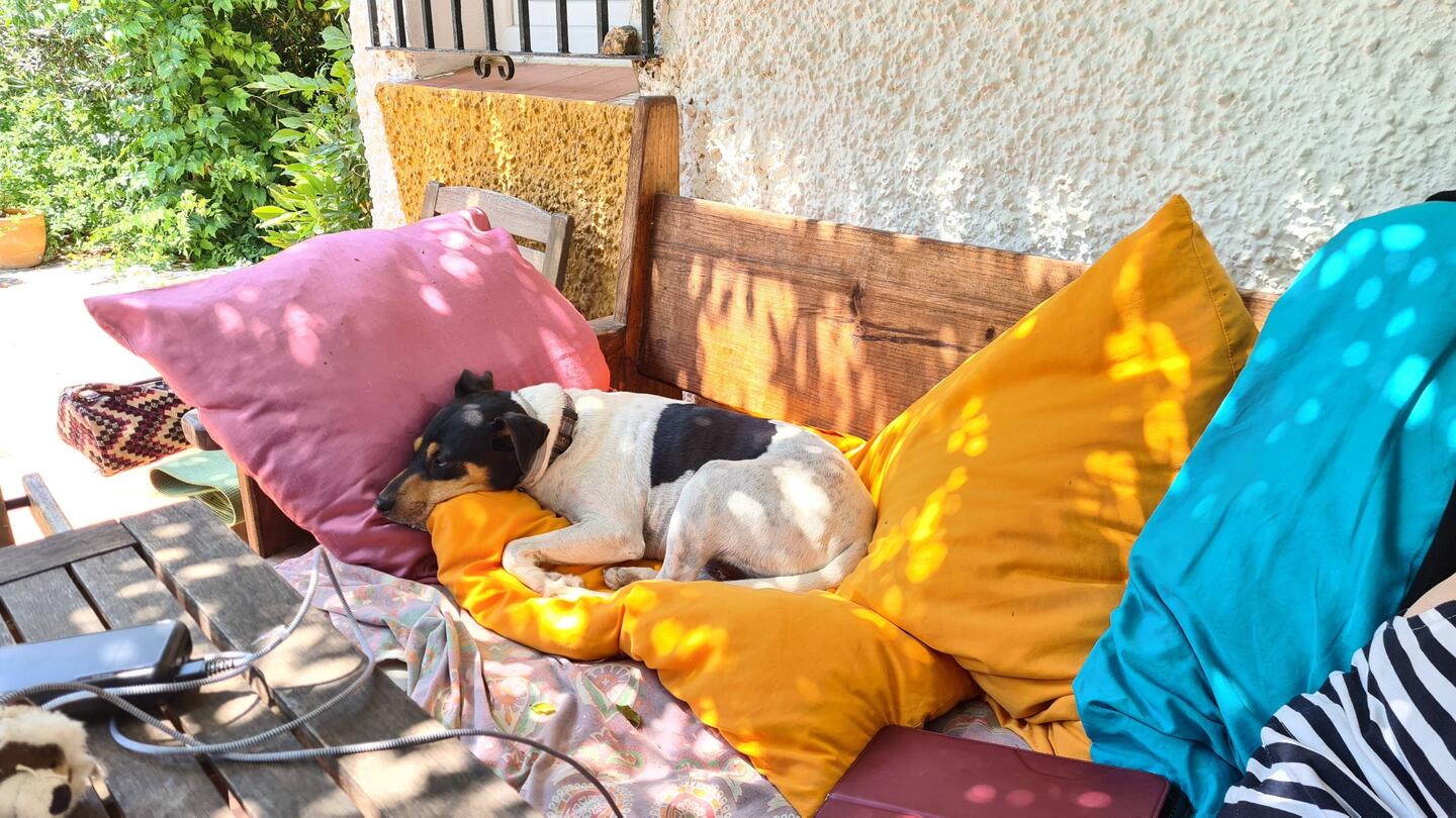 auch für Hunde ein Paradies