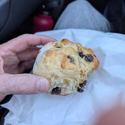 Fruit scone