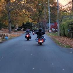 Driving through Wainfleet, the colours were amazing