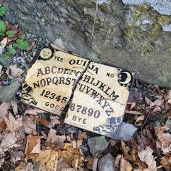 Found at the entrance to the Screaming Tunnel, Niagara Falls