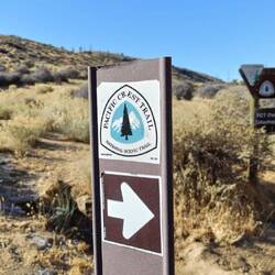 And once we survived Highway 99 and Motel 6, we left the madness and stopped for a moment on the PCT