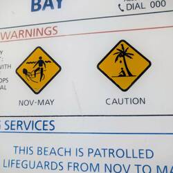 Nov bis Mai ist Saison, die Kokosnuss später