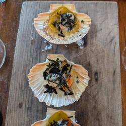 Scallops as an appetizer were fantastic