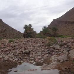 Plötzlich taucht ein Bach und eine kleine Oase auf