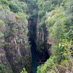 Jack's Blowhole in Owaka