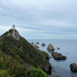 Nugget Point