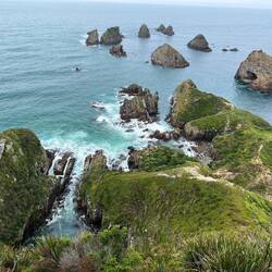 Nugget Point