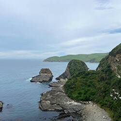 Nugget Point