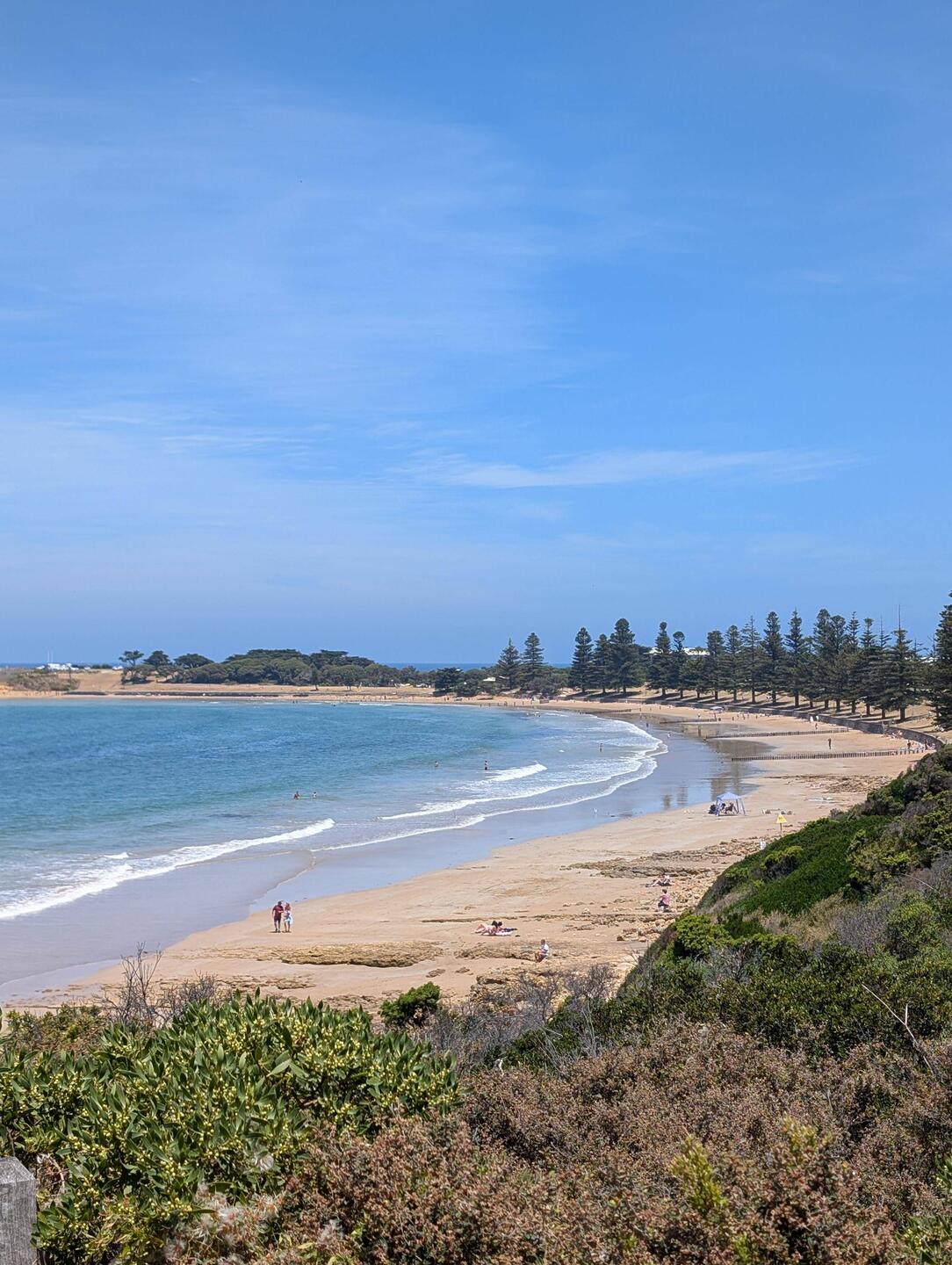 The pine trees in the beach remind me of Manly