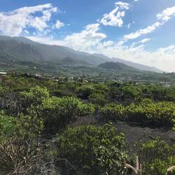 Blick vom Ende des Lavafeldes hoch zu den oberen Puerto Naos.