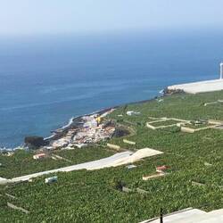 Nördlich liegt La Bombilla mit dem höchsten Leuchtturm von L.P.