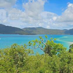 Still at the lookout point