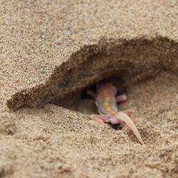 Nach dem Shooting schnell weg