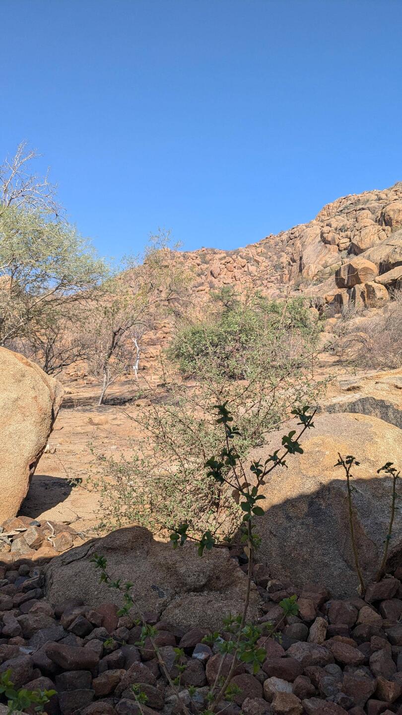 Wanderung durch Felsformationen