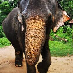 Ja hallo 😍😍😍