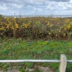 Business Schuhe aus, Trailrunners an?!👍