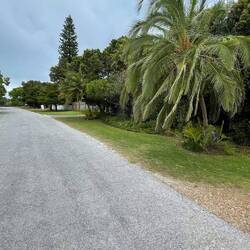 Wie in Florida