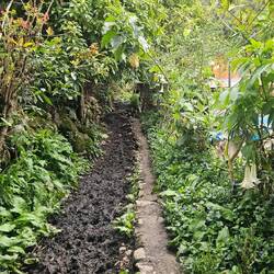 Arrived at Chawwllay 🌱🌿🌼