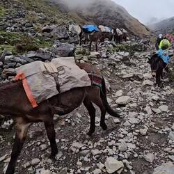 This part is called Seven Snakes aka Gringo Killer 💁🏼‍♀️