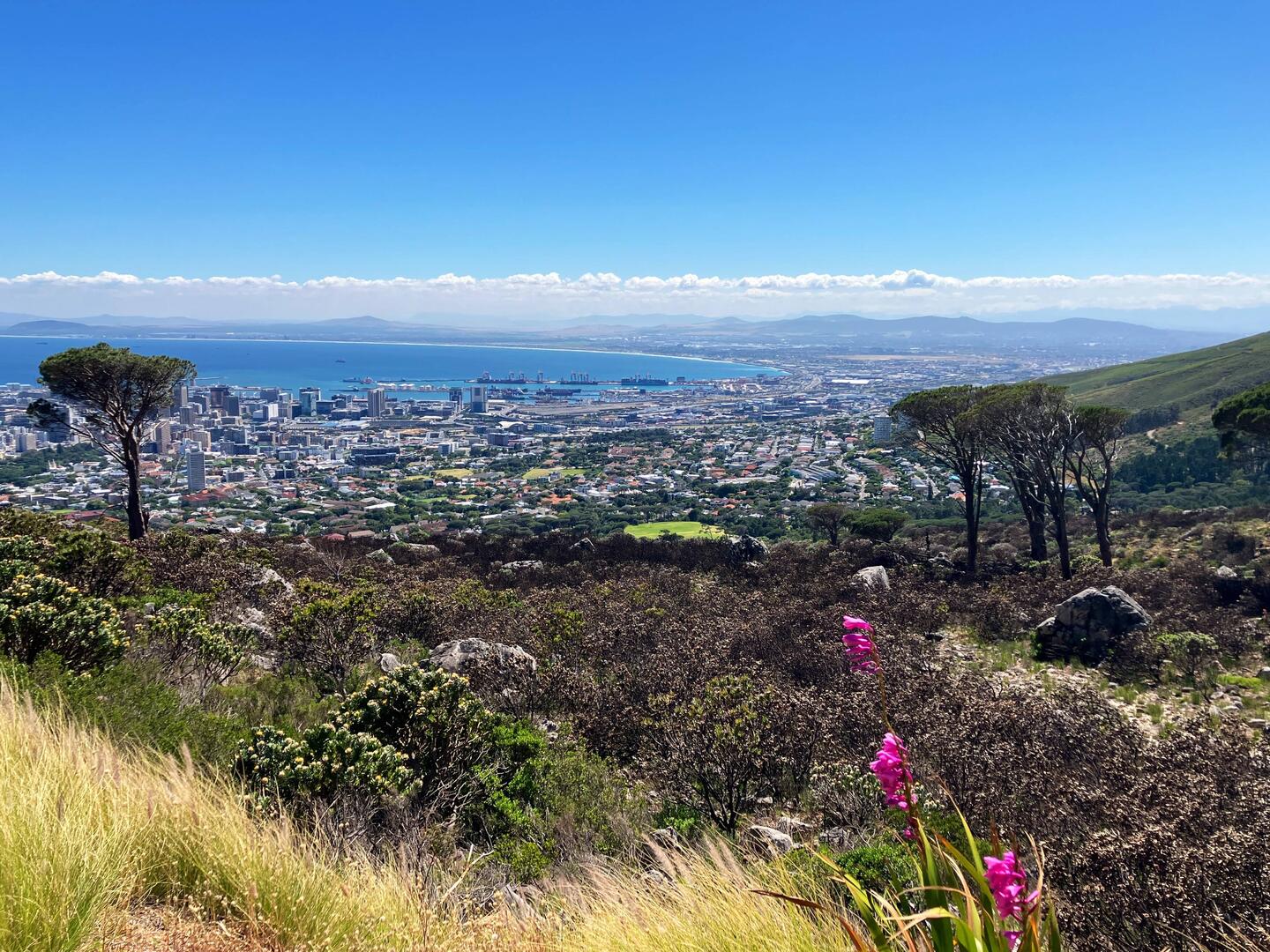 Am Fuß des Tafelberges