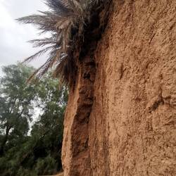 Am Rand des Flussbettes sind Erdwände, die nach und nach der Erosion zum Opfer fallen