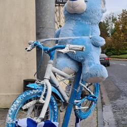 Was ne Kombi: Blaubär, Fahrrad und Guiness 😆