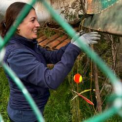 Spielzeug für den Margay