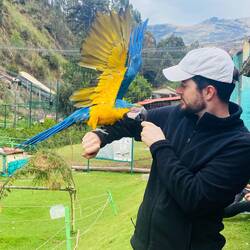 Tini mit Papagei