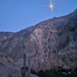 4.30 am offfff we go 🌙